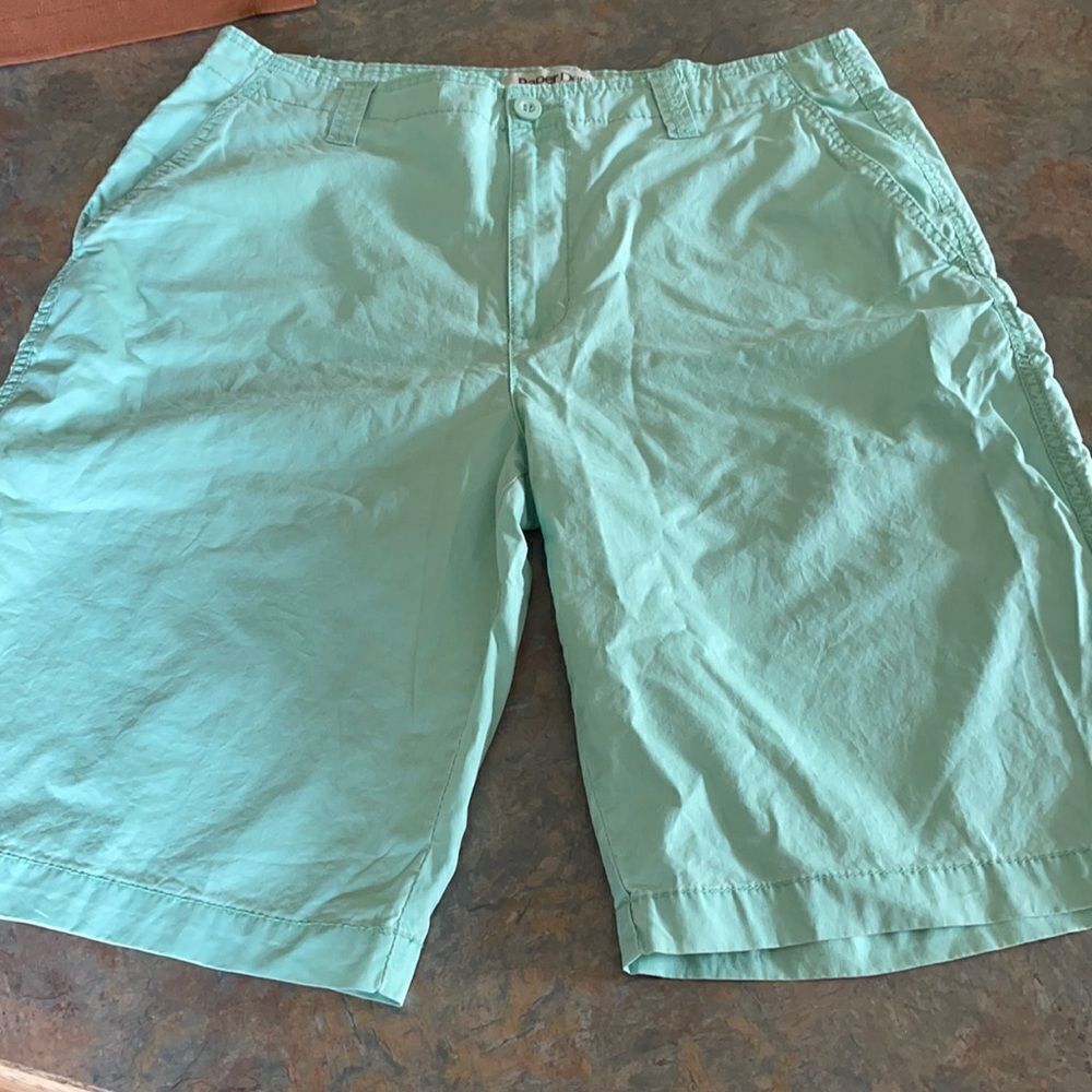 Paper Denim & Cloth Mint Green Men’s 34 Shorts